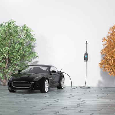 Wall Mounted Single Phase 3.5kw Portable EV Charger dengan Plug Charge dan Deteksi Isolasi